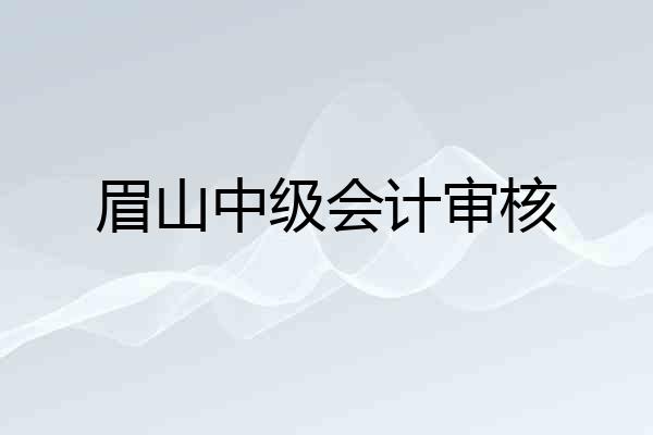 眉山中级会计审核