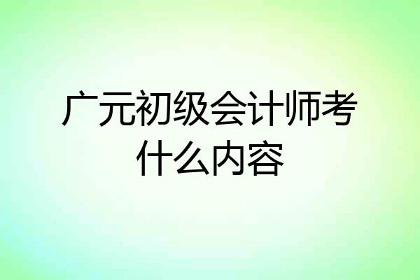 广元初级会计师考什么内容