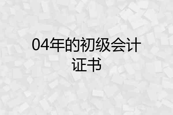 04年的初级会计证书