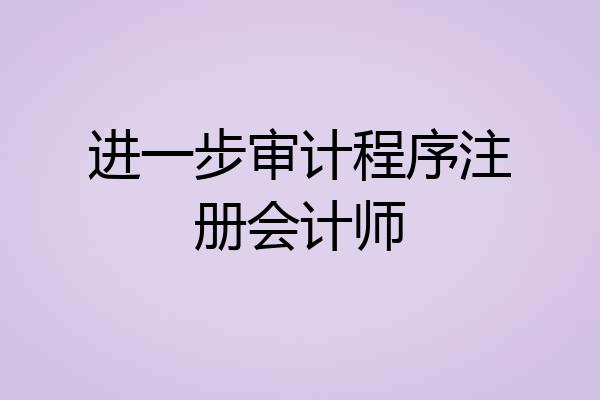 进一步审计程序注册会计师