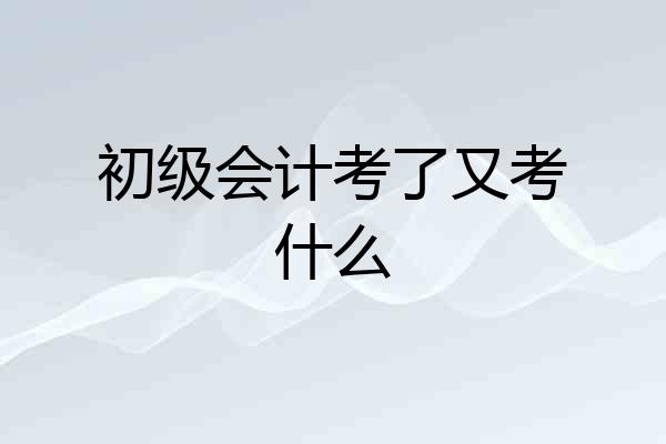 初级会计考了又考什么