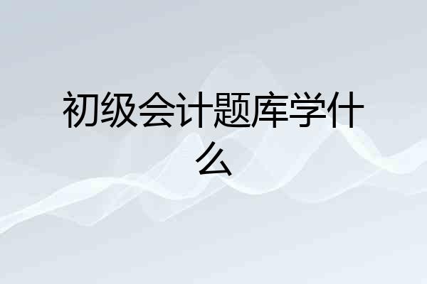 初级会计题库学什么