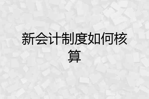 新会计制度如何核算