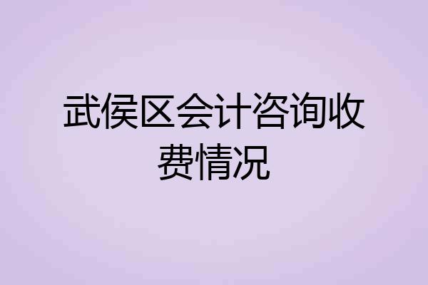 武侯区会计咨询收费情况