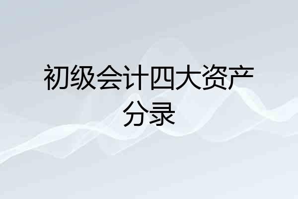 初级会计四大资产分录