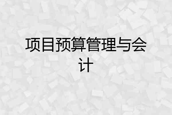 项目预算管理与会计