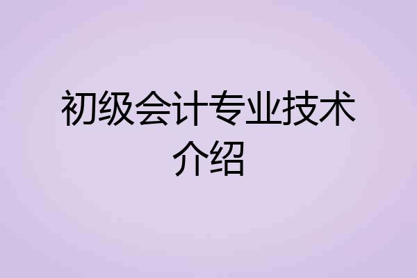 初级会计专业技术介绍