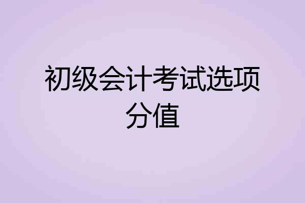 初级会计考试选项分值