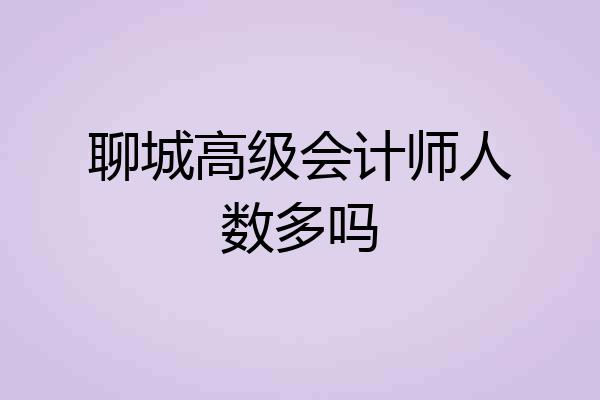 聊城高级会计师人数多吗