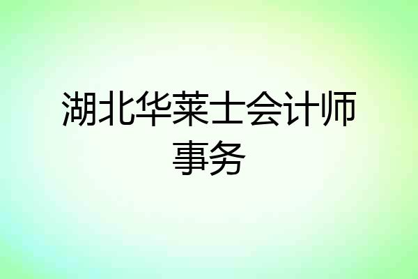 湖北华莱士会计师事务