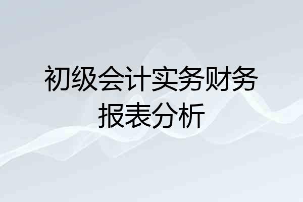 初级会计实务财务报表分析