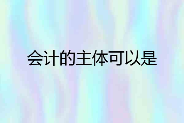 会计的主体可以是
