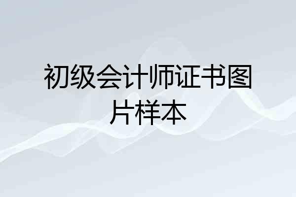 初级会计师证书图片样本