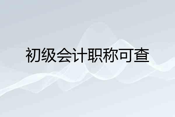 初级会计职称可查