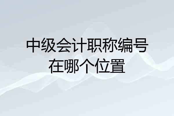 中级会计职称编号在哪个位置