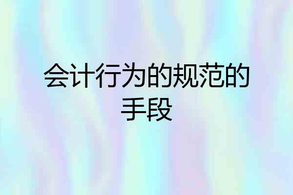 会计行为的规范的手段
