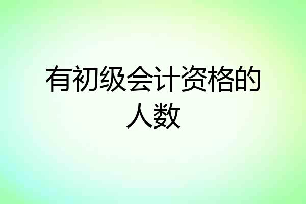 有初级会计资格的人数