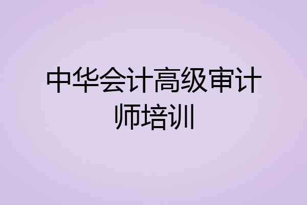 中华会计高级审计师培训
