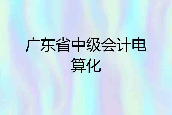广东省中级会计电算化
