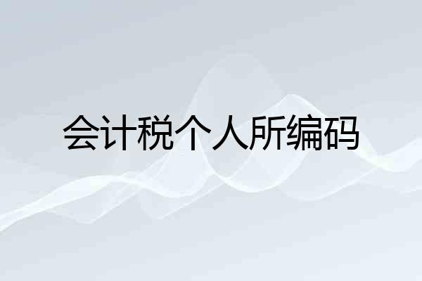 会计税个人所编码