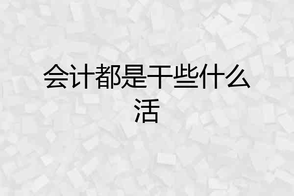 会计都是干些什么活