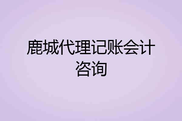 鹿城代理记账会计咨询