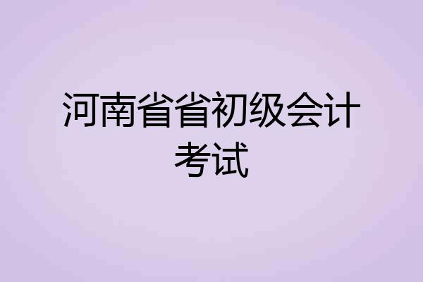河南省省初级会计考试