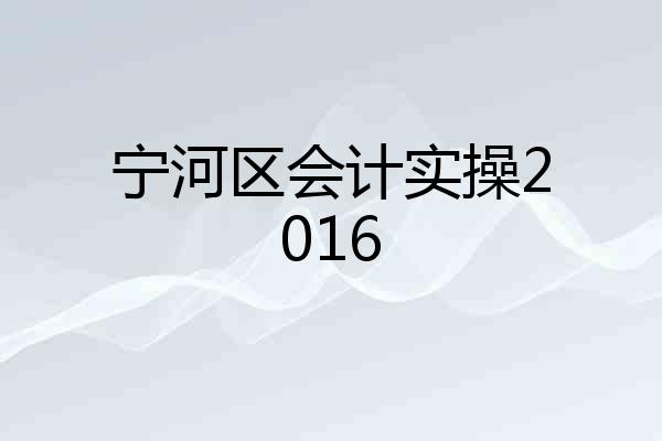 宁河区会计实操2016