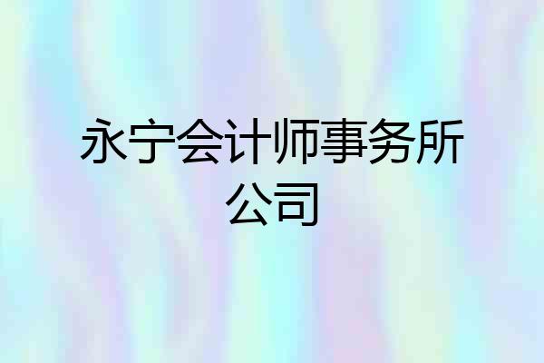 永宁会计师事务所公司