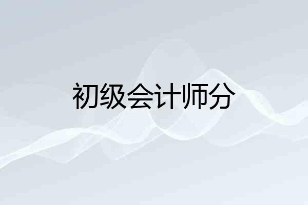 初级会计师分