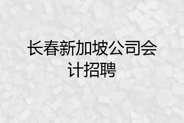 长春新加坡公司会计招聘