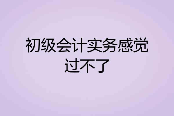 初级会计实务感觉过不了