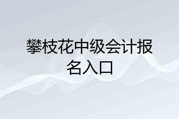 攀枝花中级会计报名入口