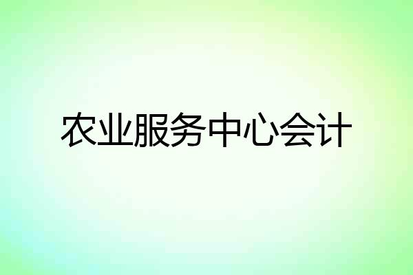 农业服务中心会计
