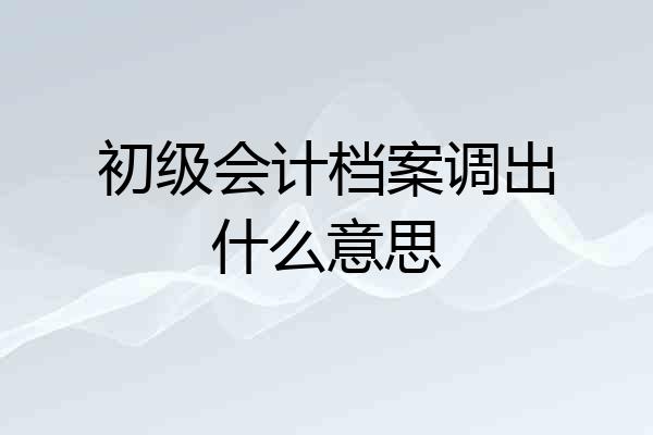 初级会计档案调出什么意思
