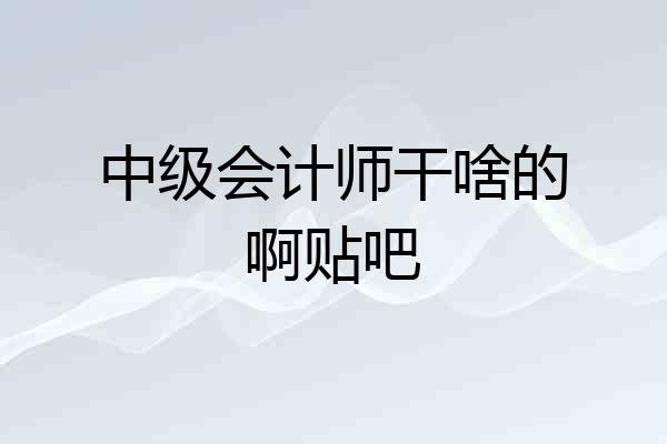 中级会计师干啥的啊贴吧