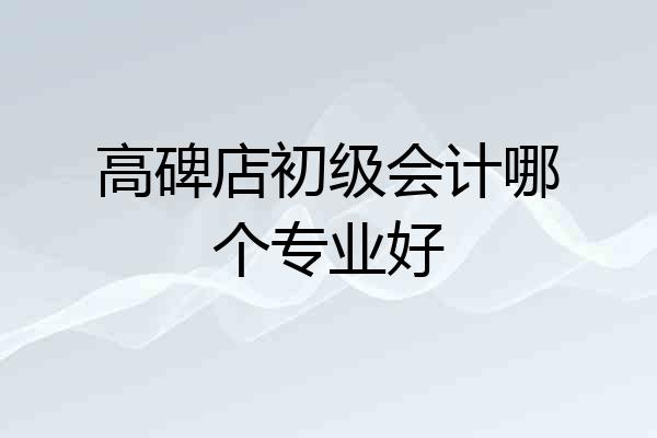 高碑店初级会计哪个专业好