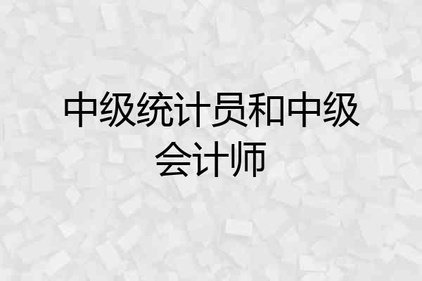 中级统计员和中级会计师