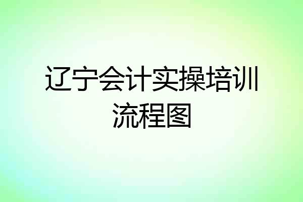 辽宁会计实操培训流程图