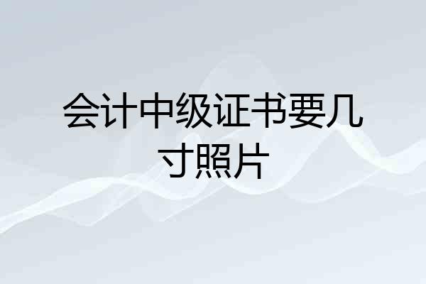 会计中级证书要几寸照片
