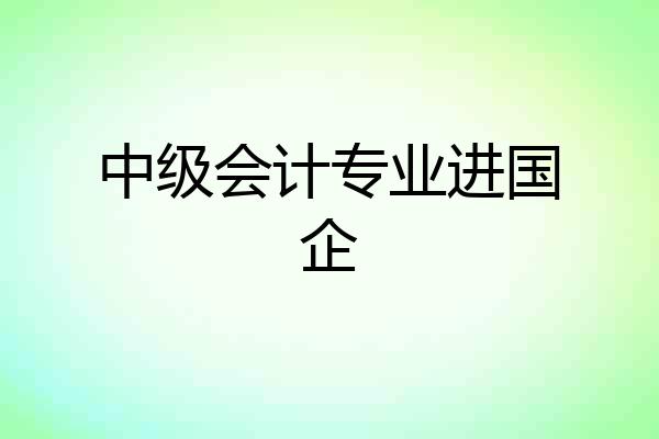 中级会计专业进国企