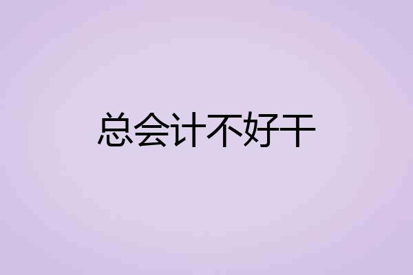 总会计不好干