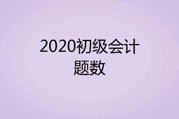 2020初级会计题数