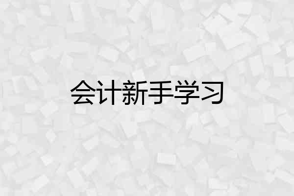 会计新手学习