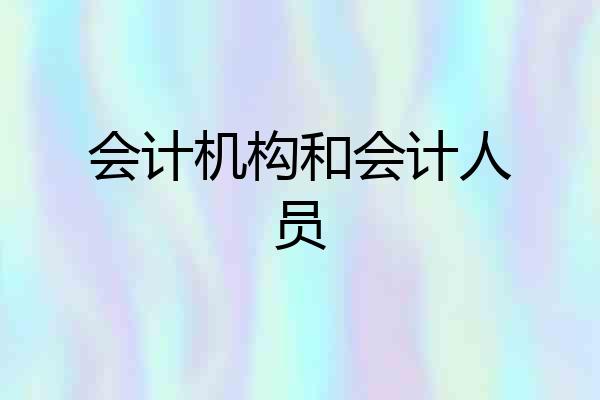 会计机构和会计人员