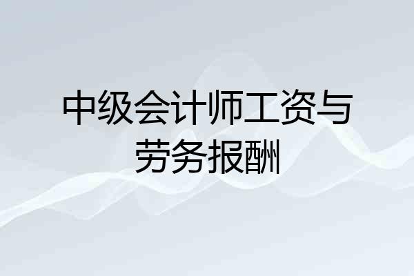 中级会计师工资与劳务报酬