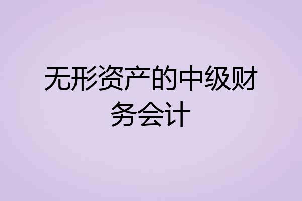 无形资产的中级财务会计