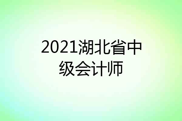 2021湖北省中级会计师