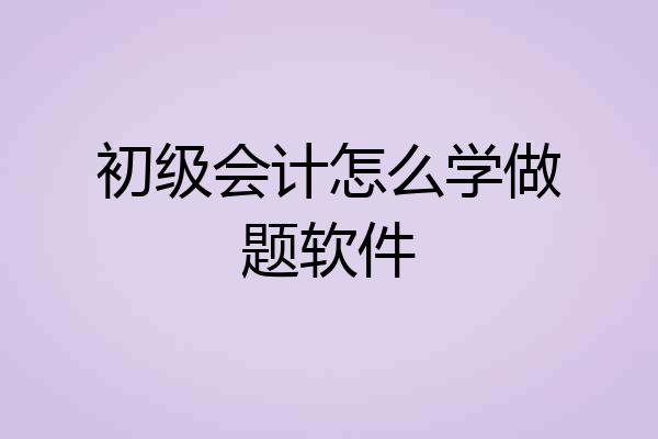 初级会计怎么学做题软件
