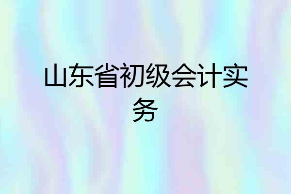 山东省初级会计实务
